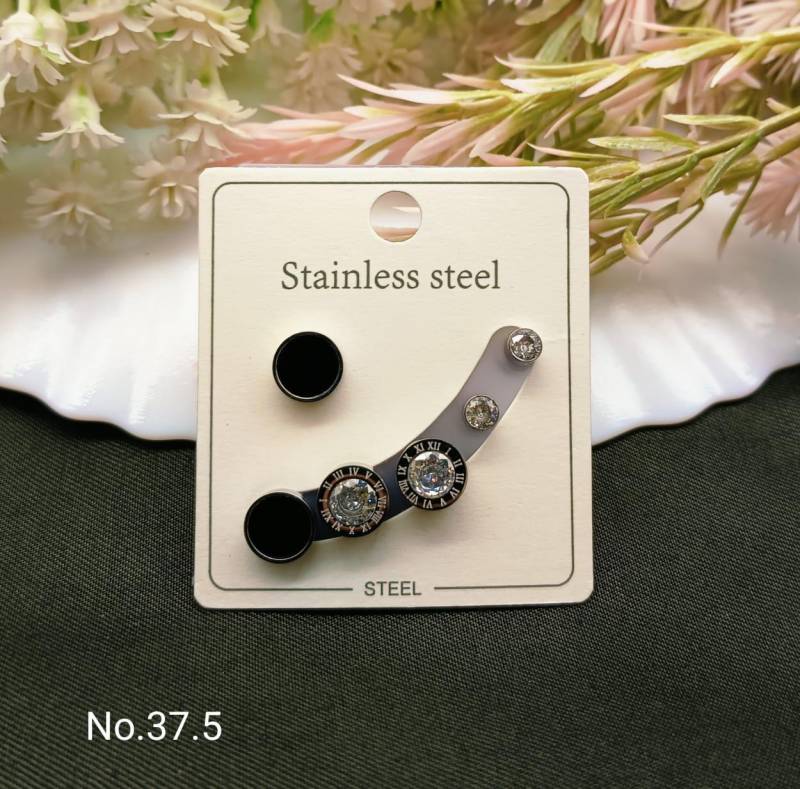 Stainless Steel Earrings 4