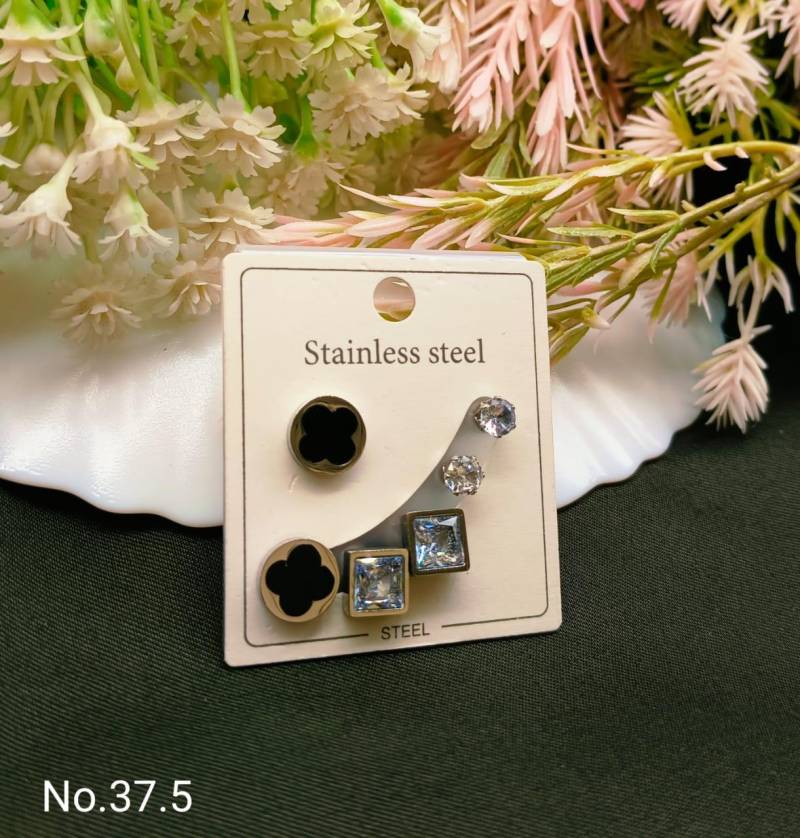 Stainless Steel Earrings 4