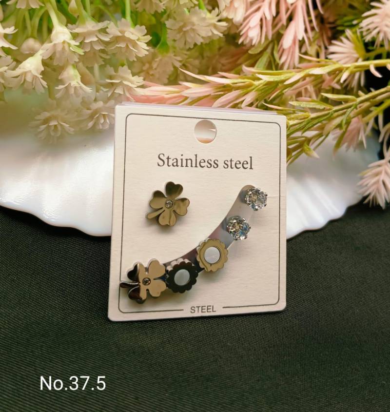 Stainless Steel Earrings 4