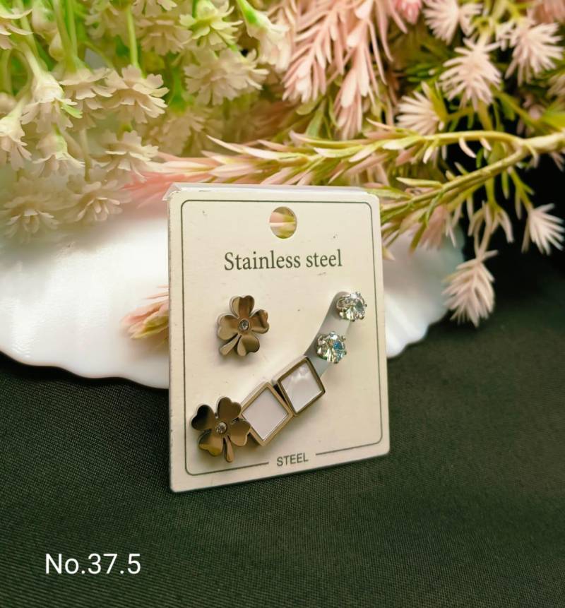 Stainless Steel Earrings 4