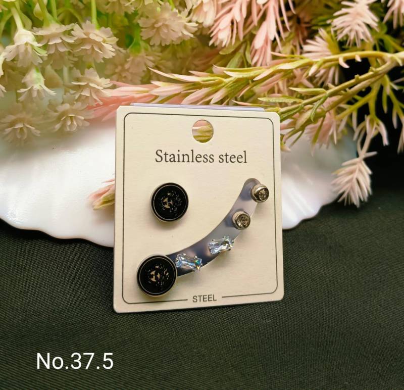 Stainless Steel Earrings 4