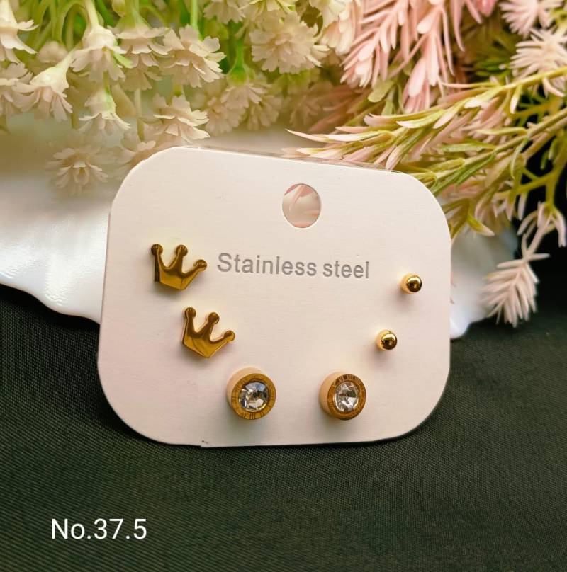 Stainless Steel Earrings 4