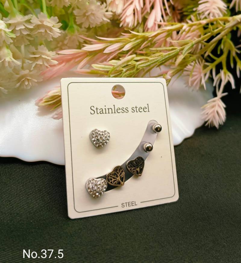 Stainless Steel Earrings 4