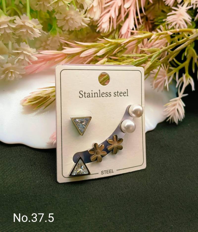 Stainless Steel Earrings 4