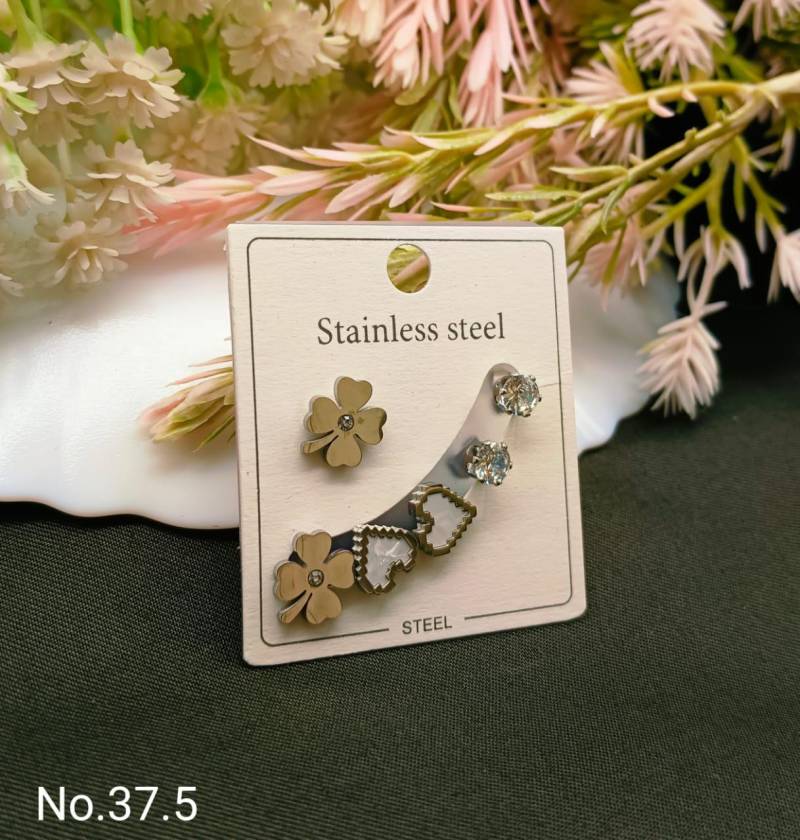 Stainless Steel Earrings 4