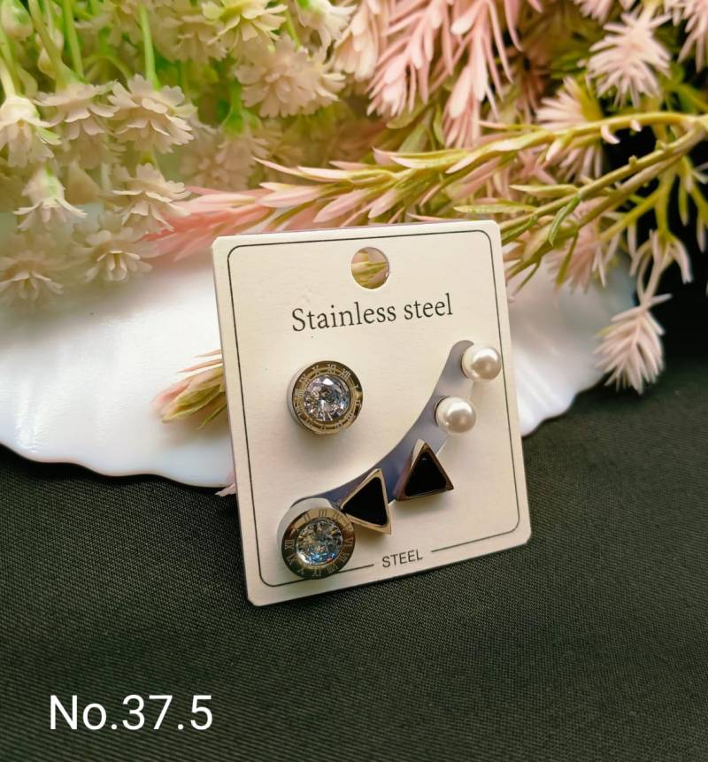 Stainless Steel Earrings 4