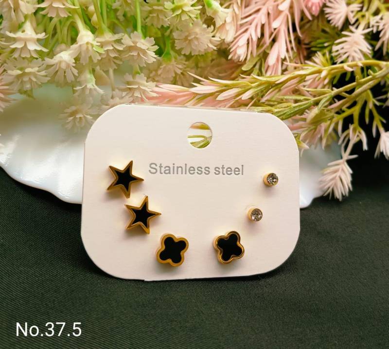 Stainless Steel Earrings 4