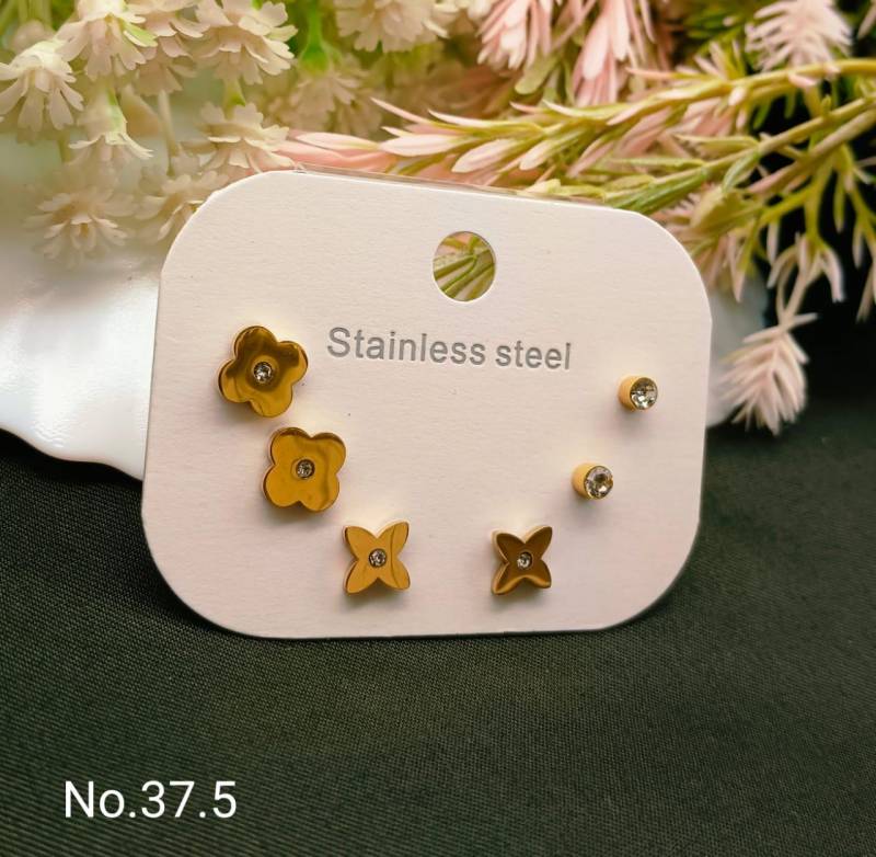 Stainless Steel Earrings 4