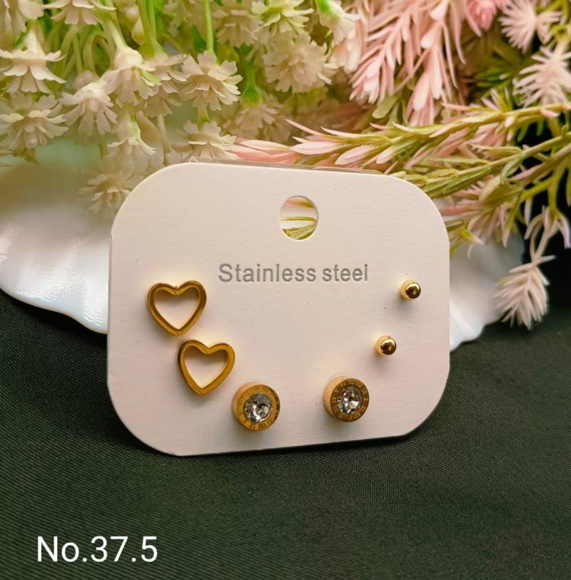 Stainless Steel Earrings 4