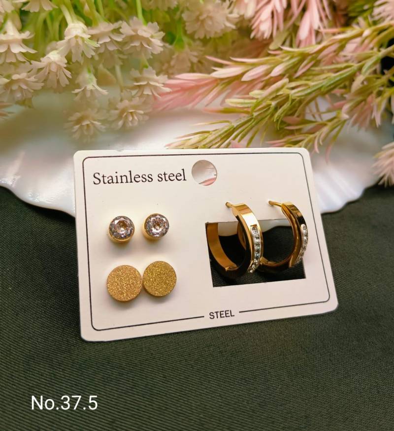 Stainless Steel Earrings 4