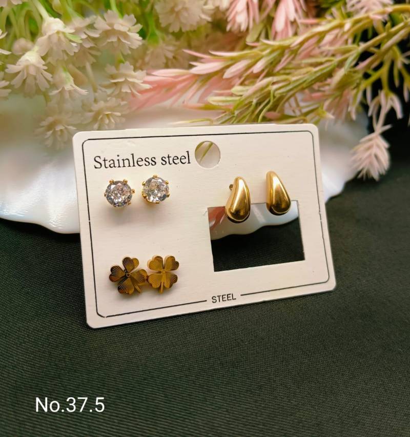 Stainless Steel Earrings 4