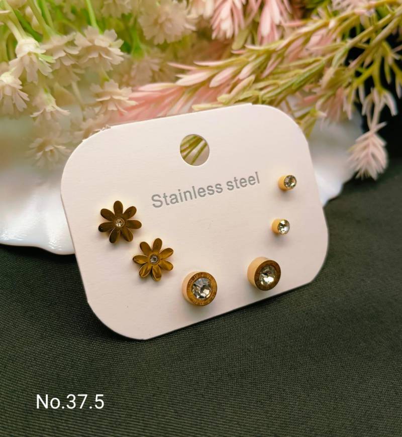 Stainless Steel Earrings 4