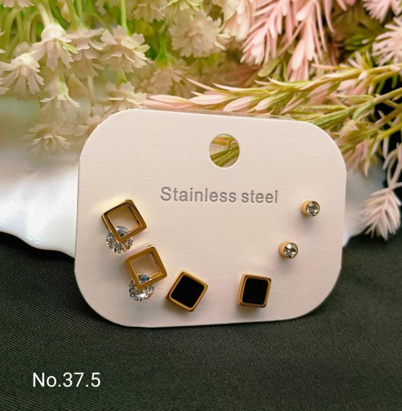 Stainless Steel Earrings 4