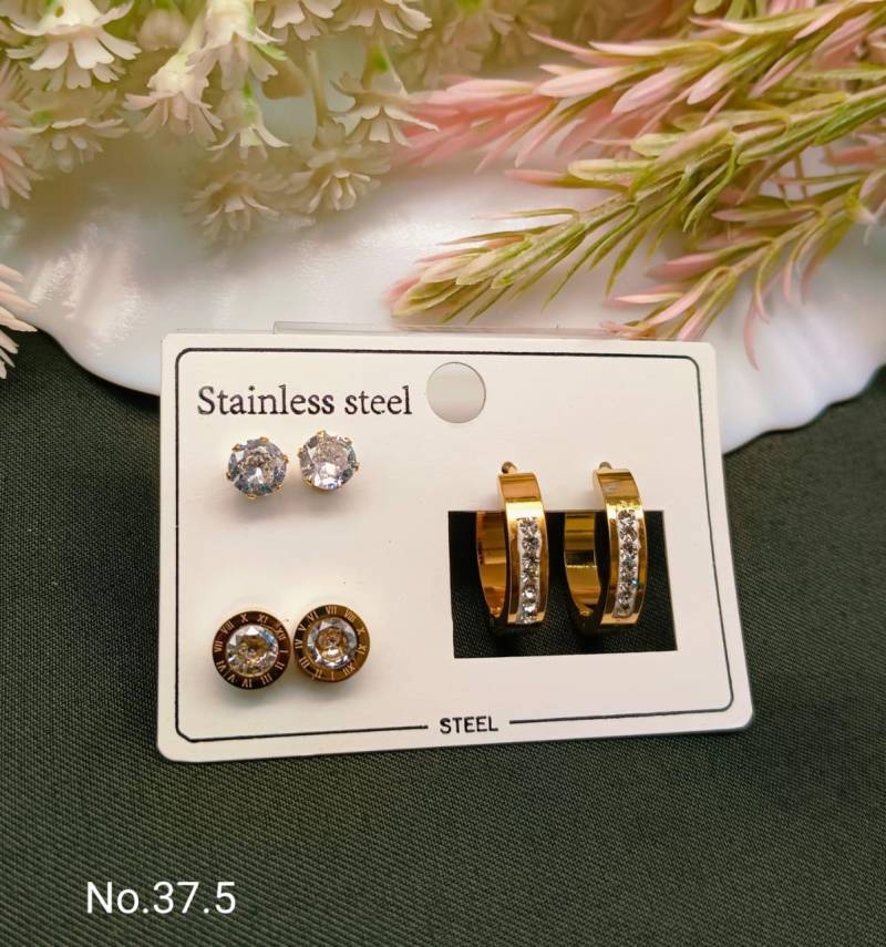 Stainless Steel Earrings 4