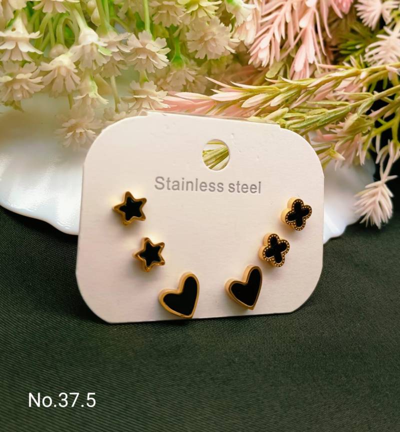 Stainless Steel Earrings 4