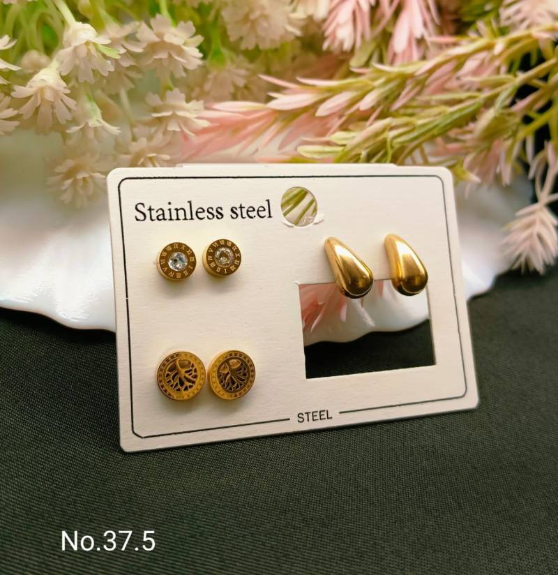 Stainless Steel Earrings 4