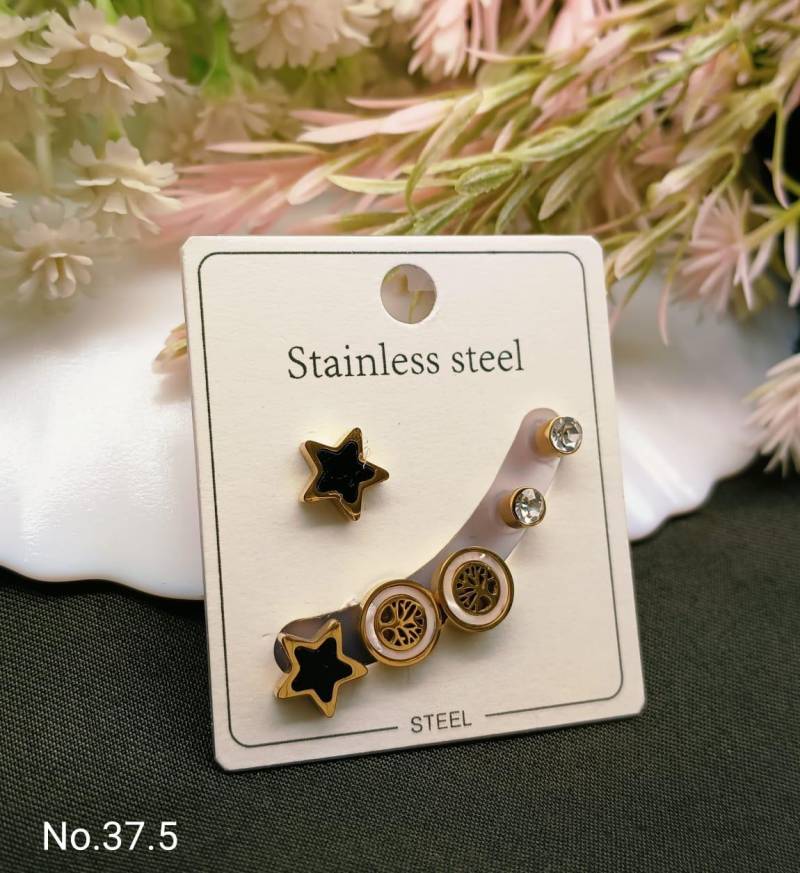 Stainless Steel Earrings 4