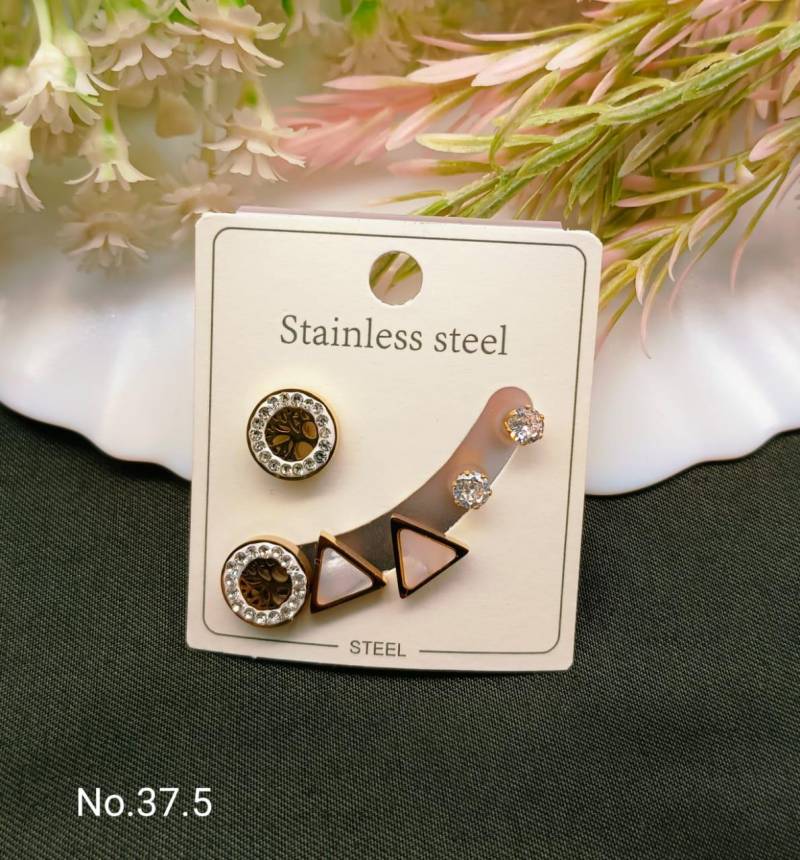 Stainless Steel Earrings 4