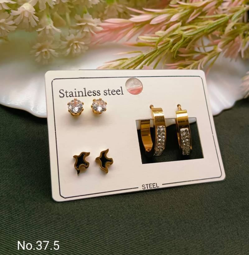 Stainless Steel Earrings 4
