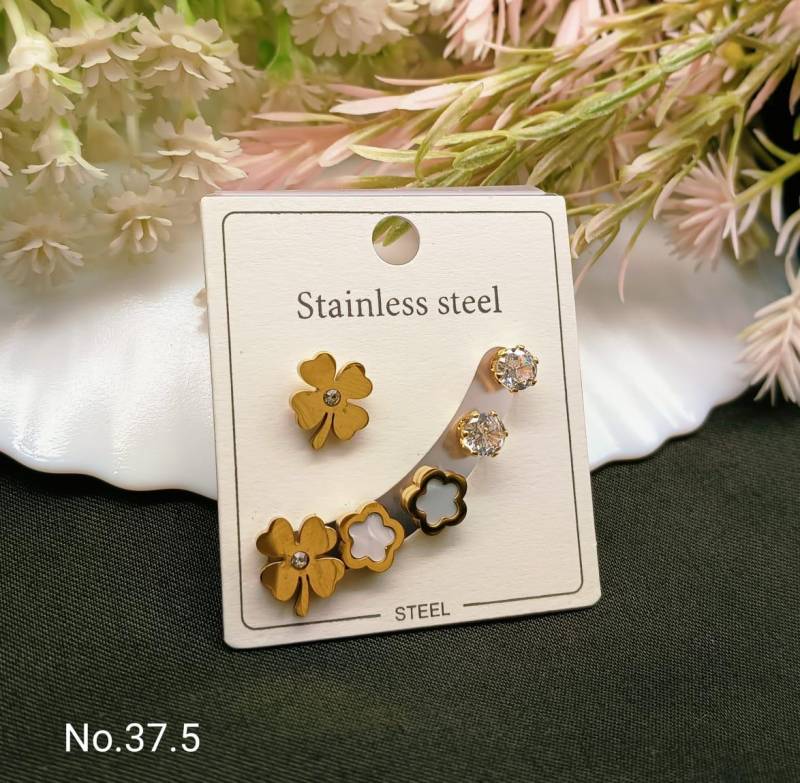 Stainless Steel Earrings 4