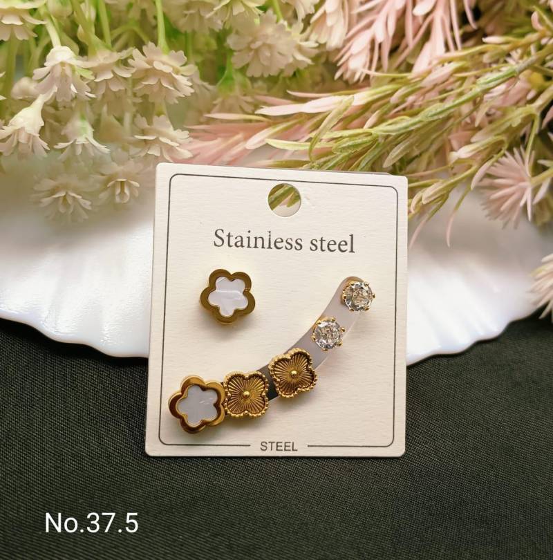 Stainless Steel Earrings 4