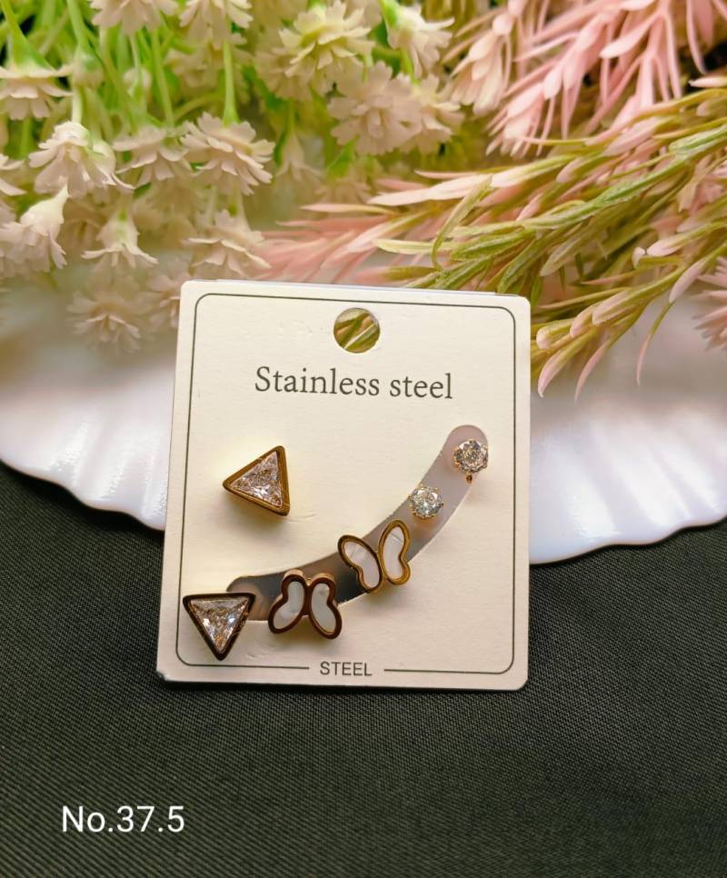 Stainless Steel Earrings 4