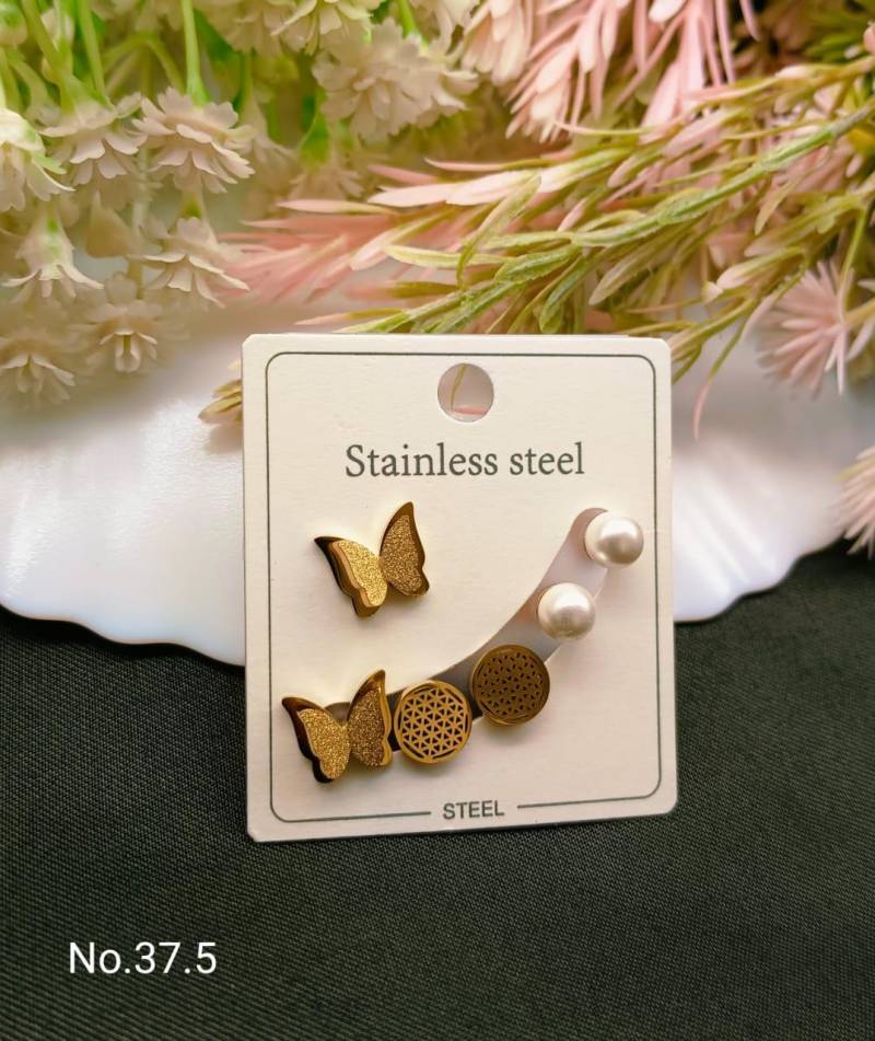 Stainless Steel Earrings 4