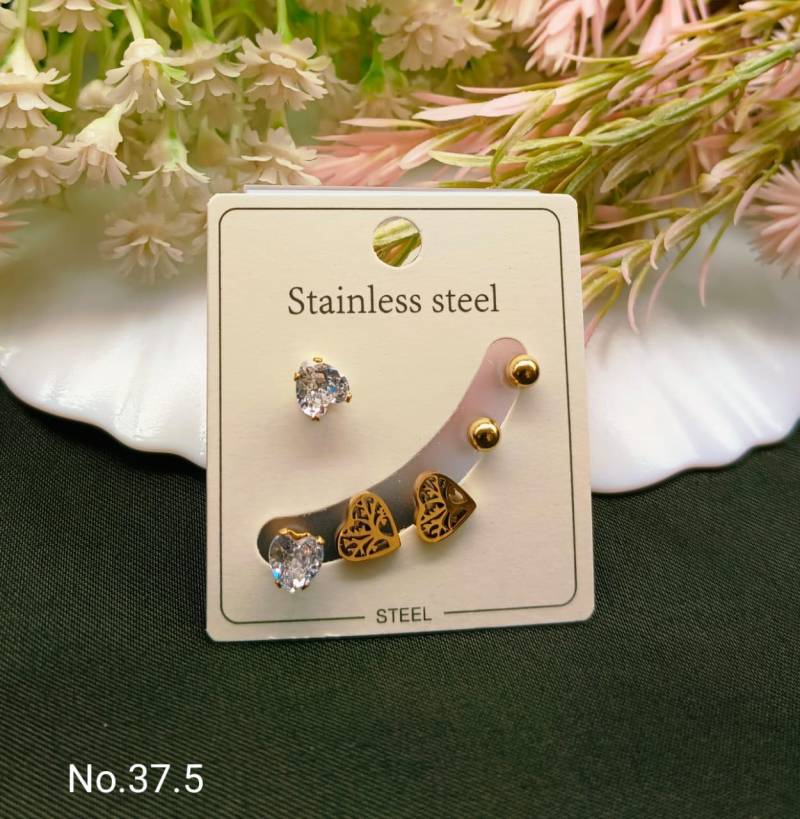 Stainless Steel Earrings 4