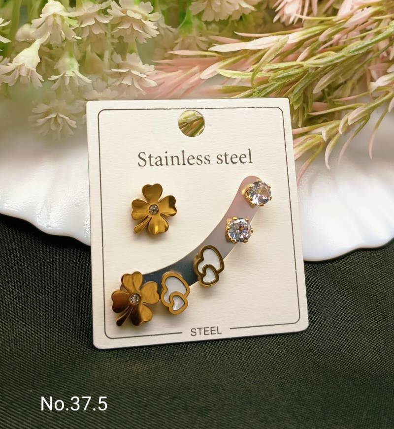 Stainless Steel Earrings 5