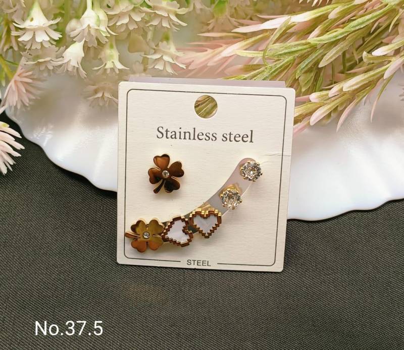 Stainless Steel Earrings 5