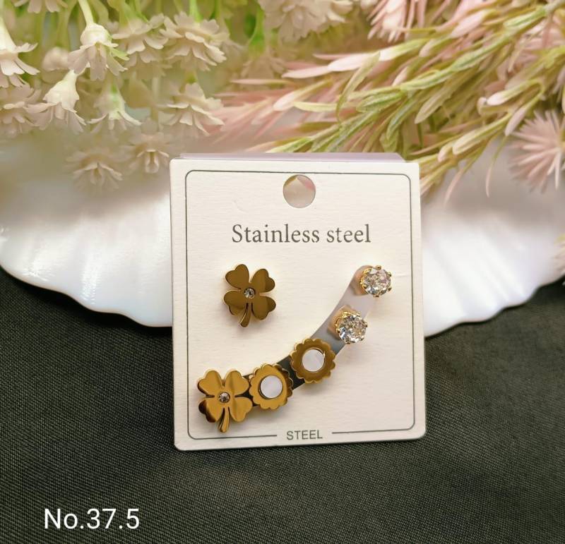 Stainless Steel Earrings 5