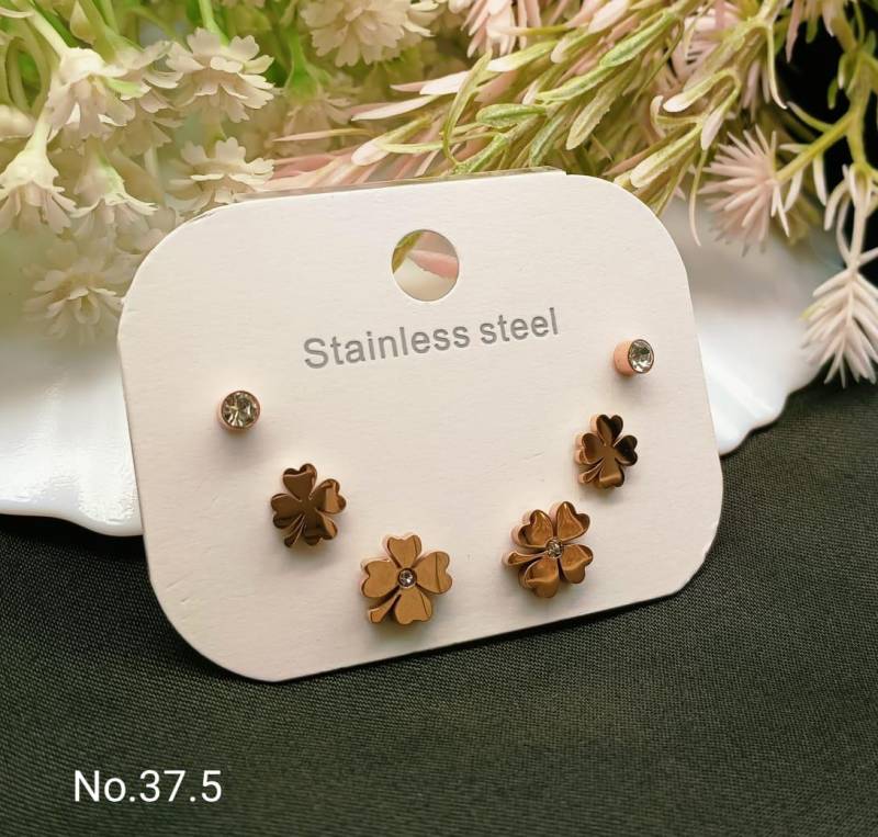 Stainless Steel Earrings 5