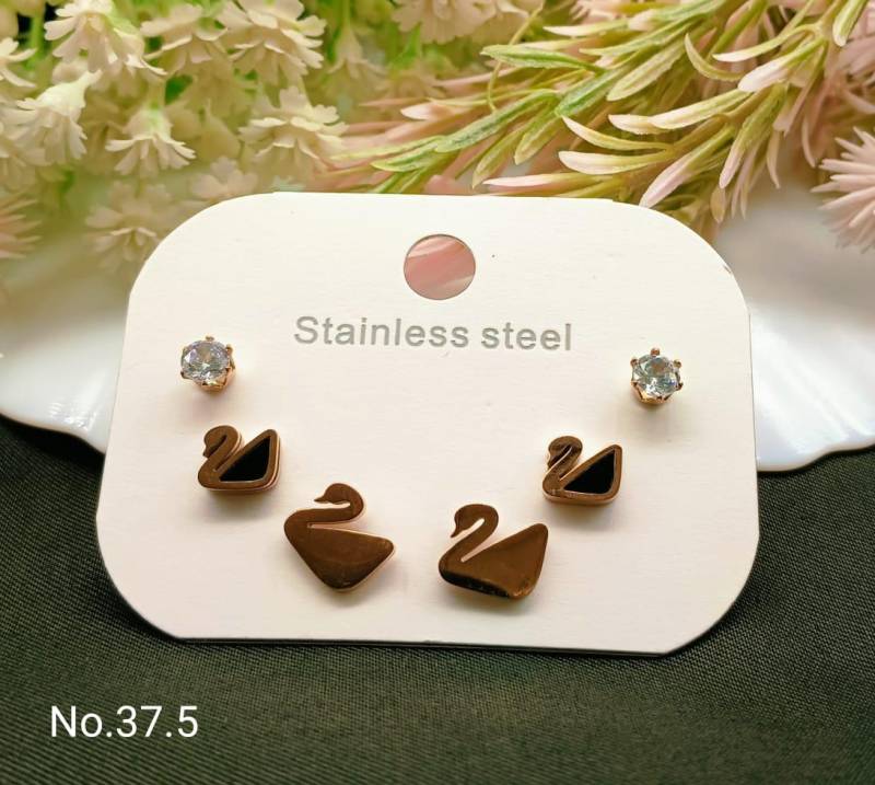 Stainless Steel Earrings 5