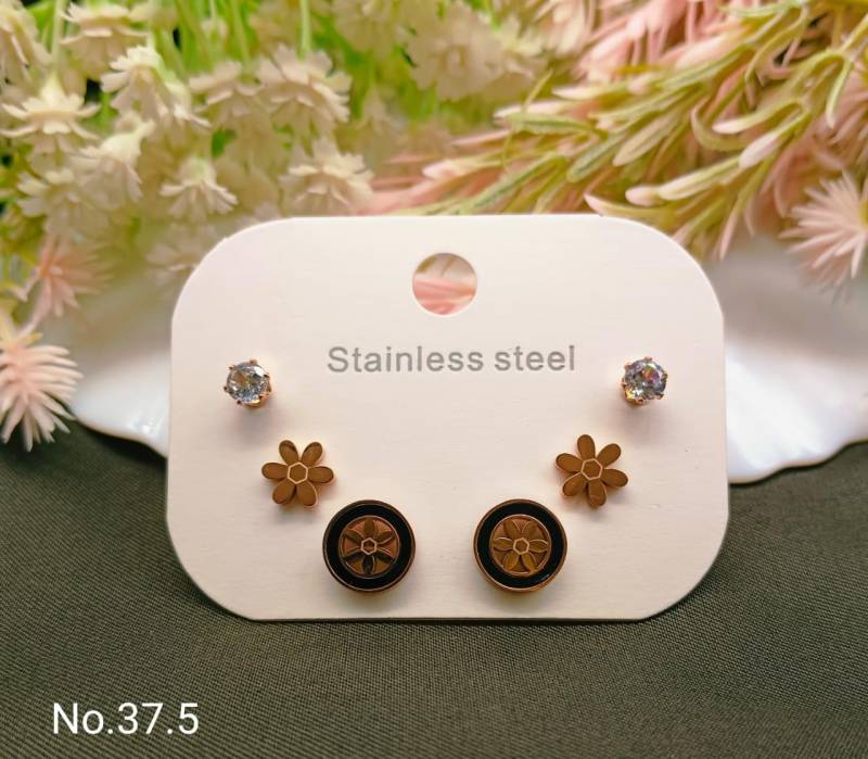 Stainless Steel Earrings 5