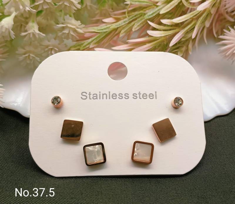 Stainless Steel Earrings 5