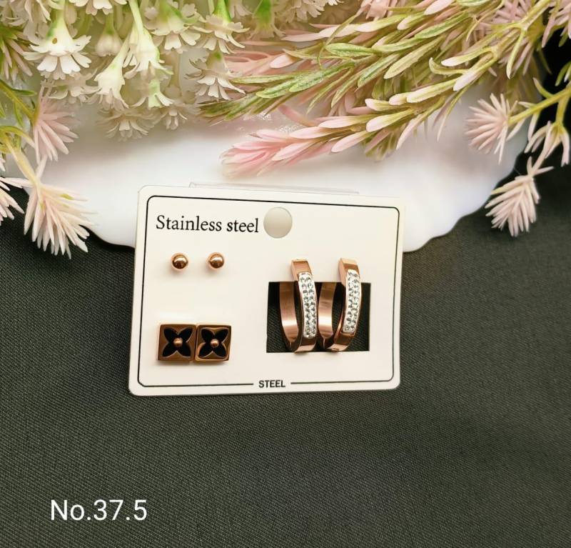 Stainless Steel Earrings 5