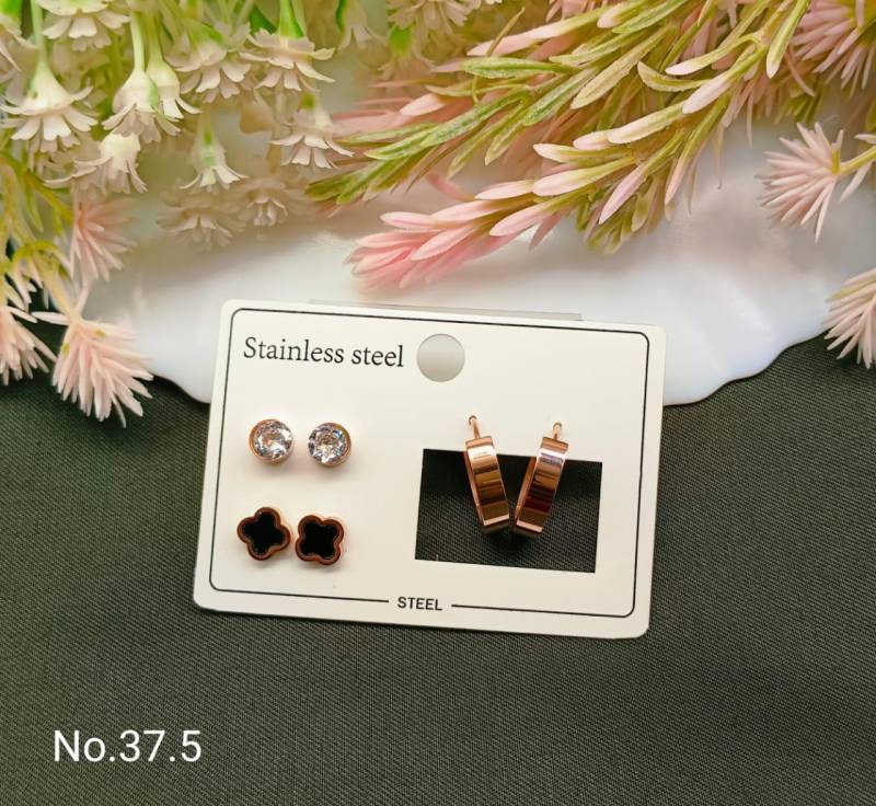 Stainless Steel Earrings 5