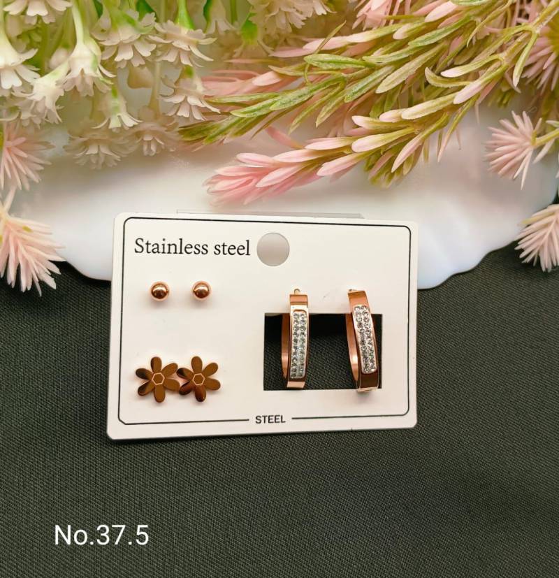 Stainless Steel Earrings 5