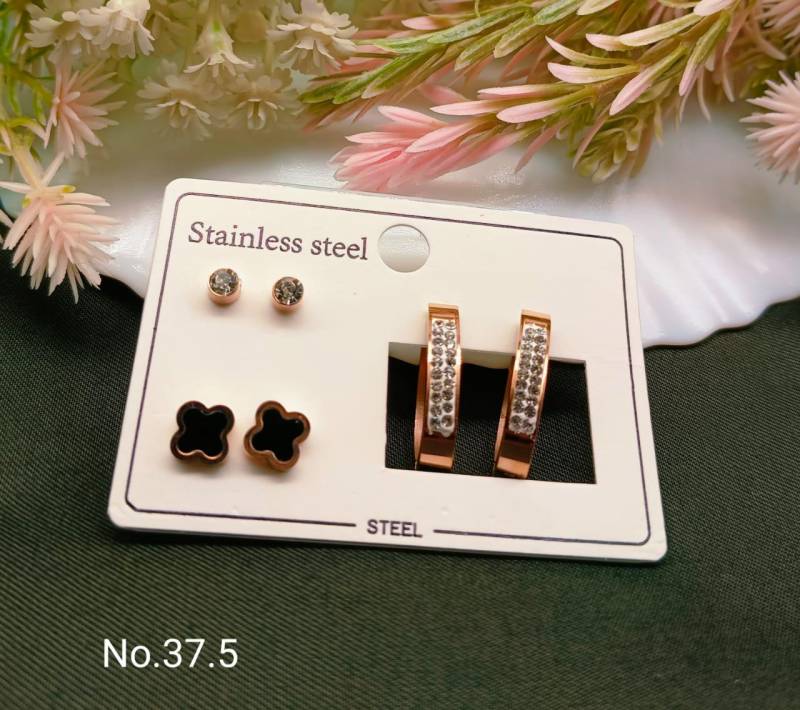 Stainless Steel Earrings 5