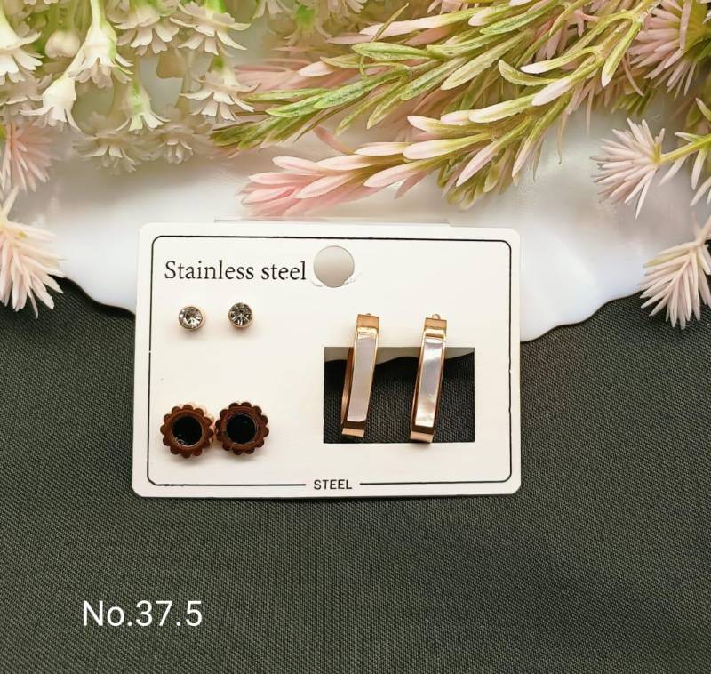 Stainless Steel Earrings 5