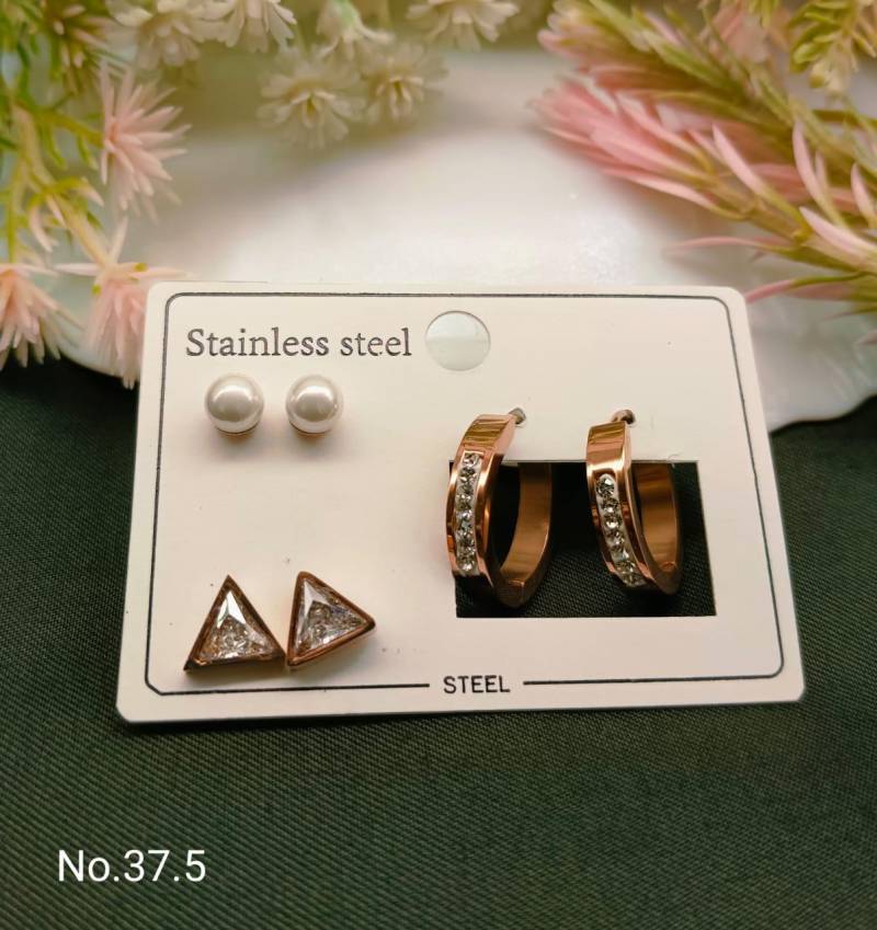 Stainless Steel Earrings 5