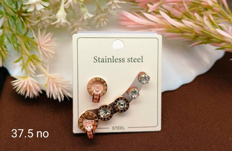 Stainless Steel Earrings 5