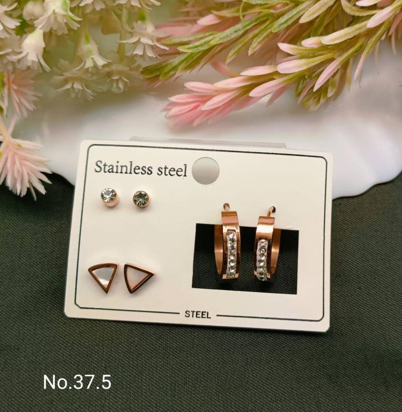 Stainless Steel Earrings 5