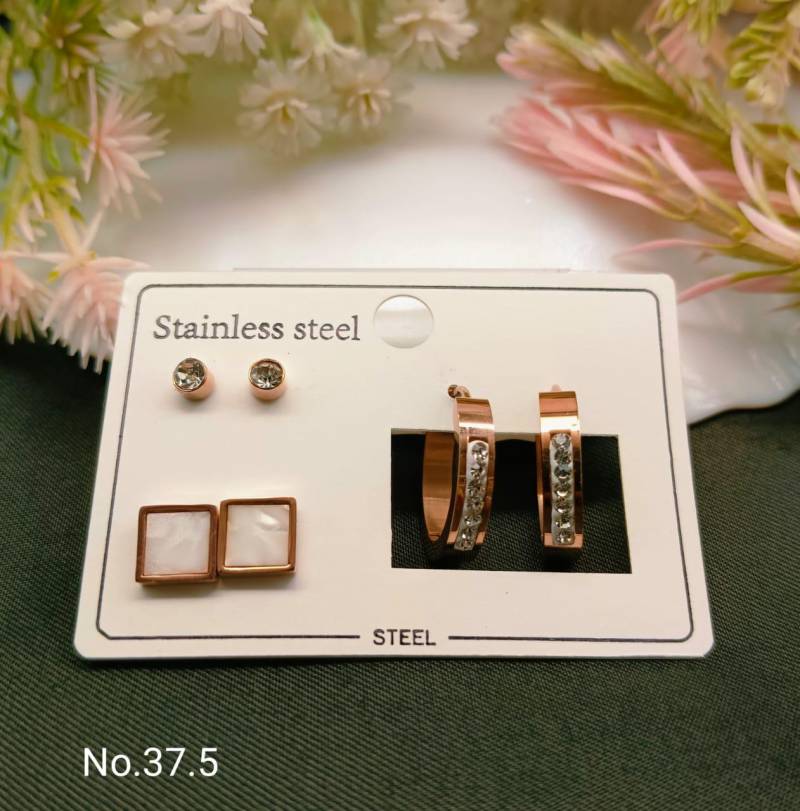 Stainless Steel Earrings 5
