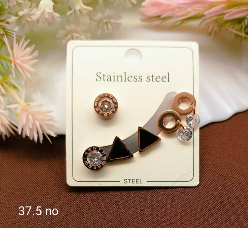 Stainless Steel Earrings 5