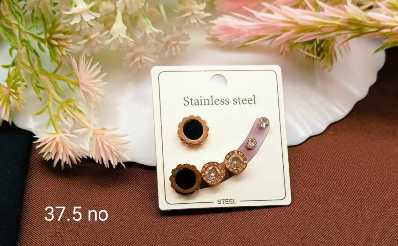 Stainless Steel Earrings 5