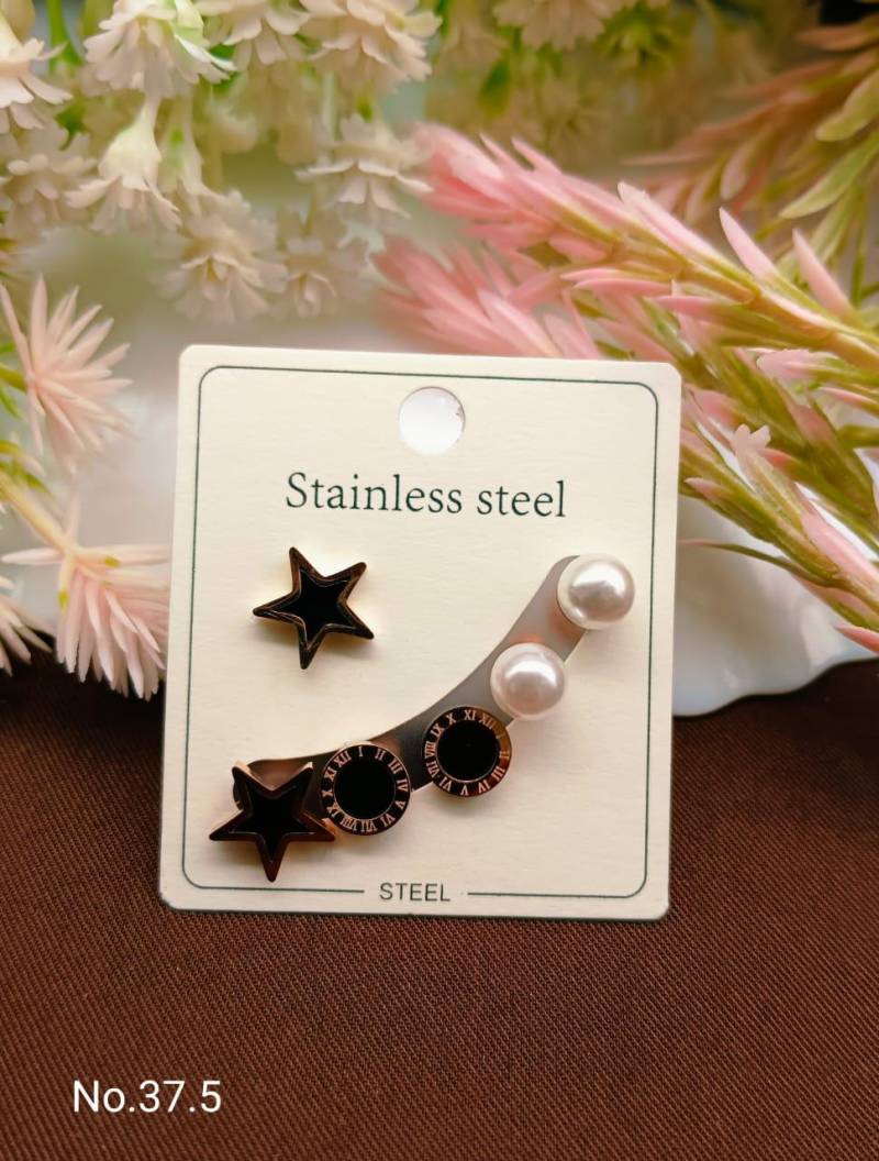 Stainless Steel Earrings 5