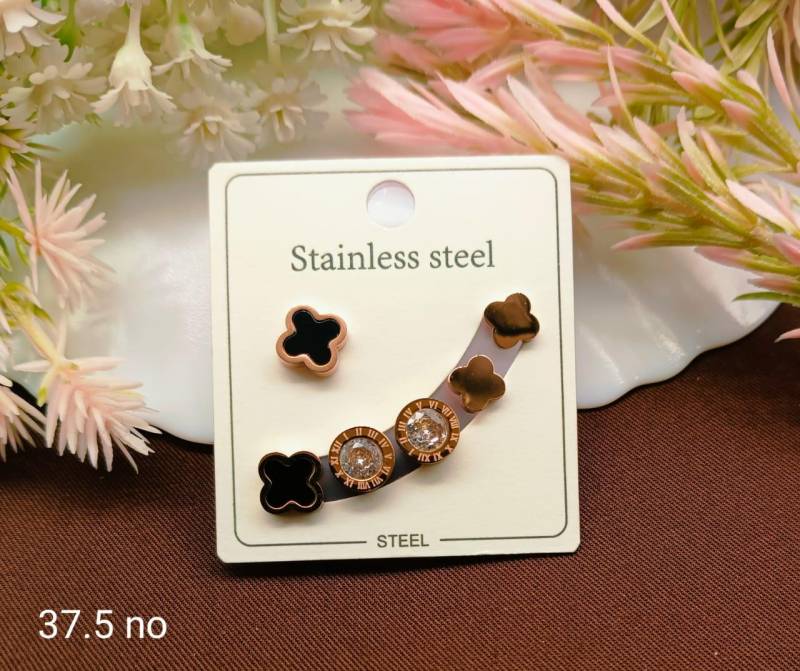Stainless Steel Earrings 5