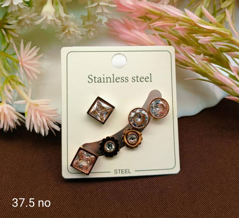 Stainless Steel Earrings 5