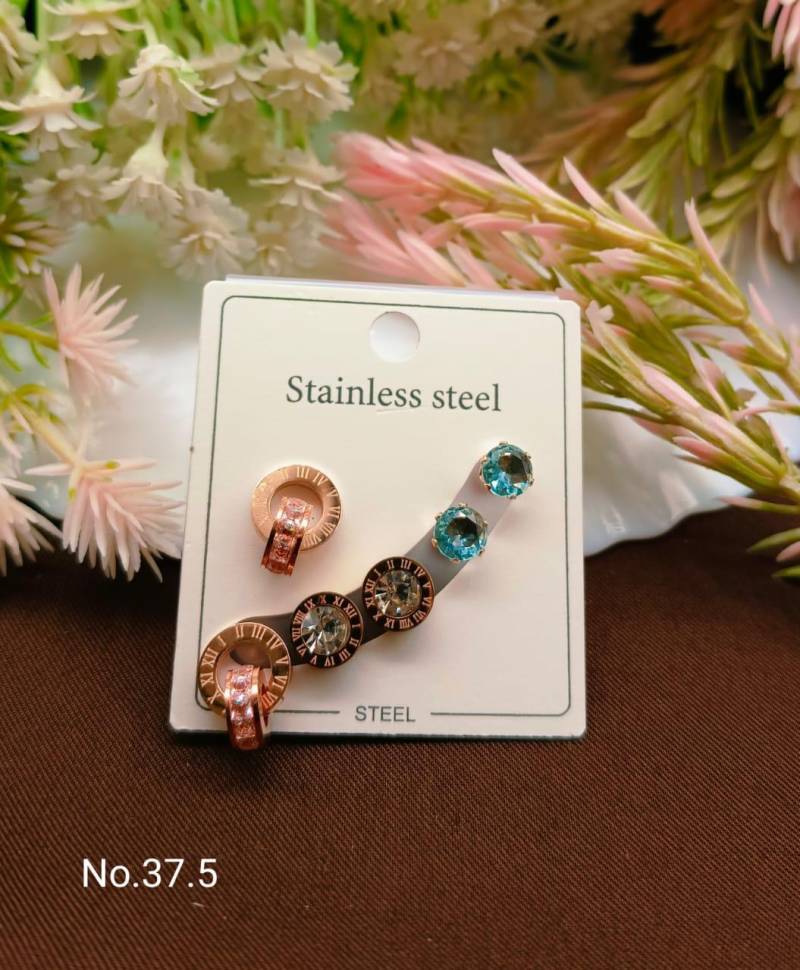 Stainless Steel Earrings 5